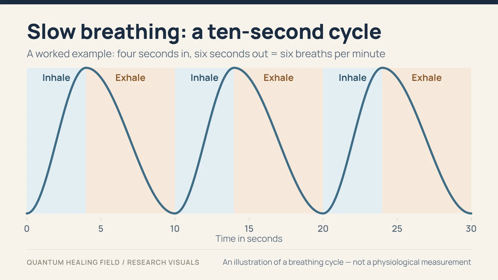 A schematic curve of three breathing cycles over thirty seconds, each a four-second rise and a six-second fall.