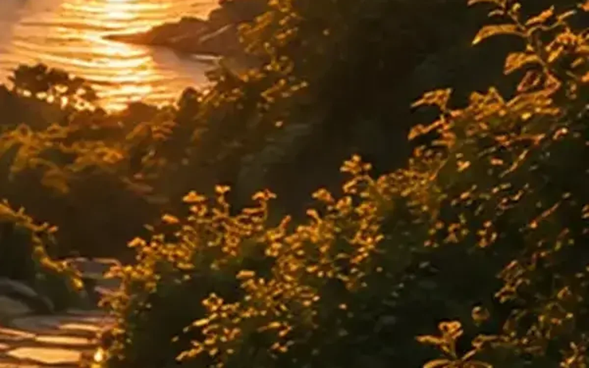 Calm holistic wellbeing scene beside water with natural healing elements.