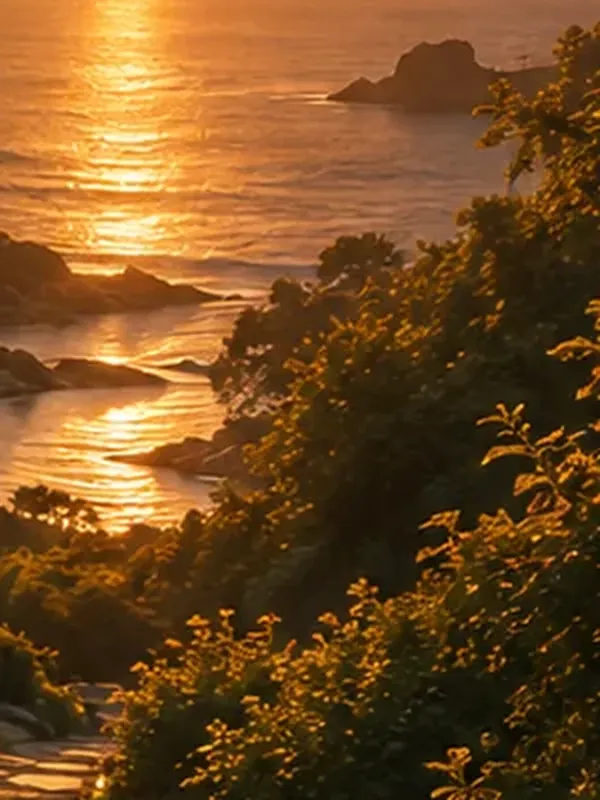 Calm holistic wellbeing scene beside water with natural healing elements.
